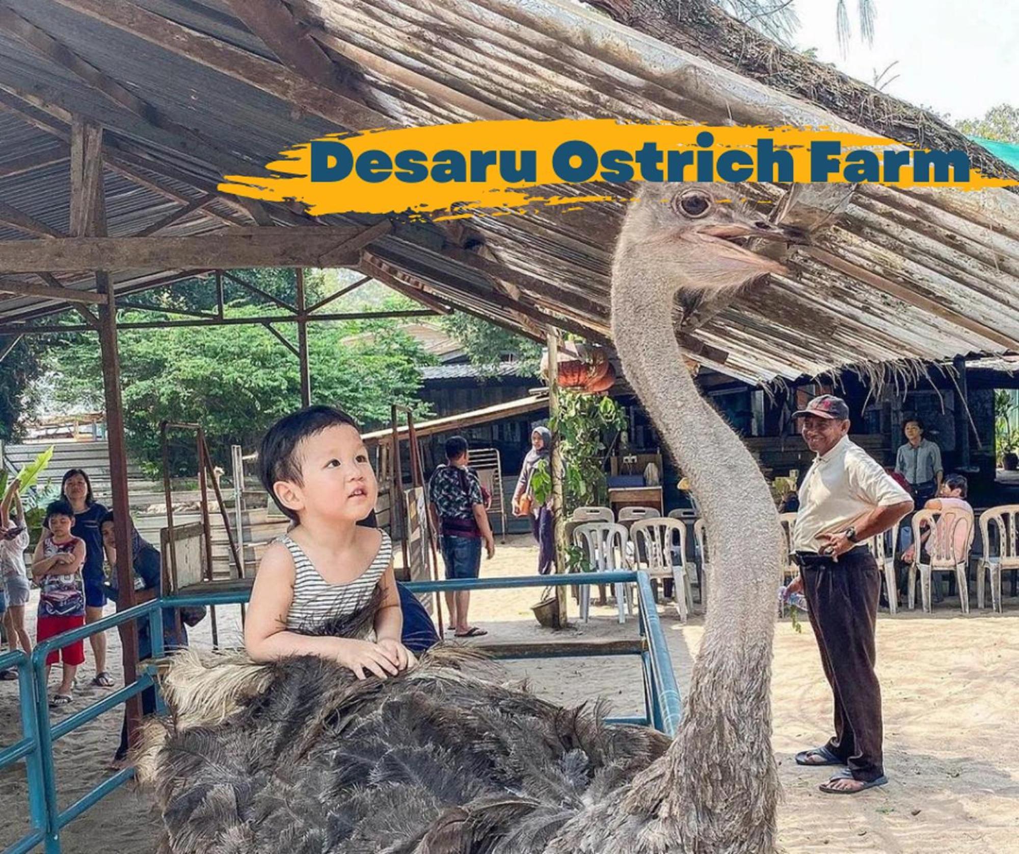 Desaru Johor By Glex别墅 外观 照片